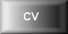 Curriculum